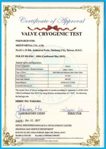 Cryogenic-BS6364 Test Report